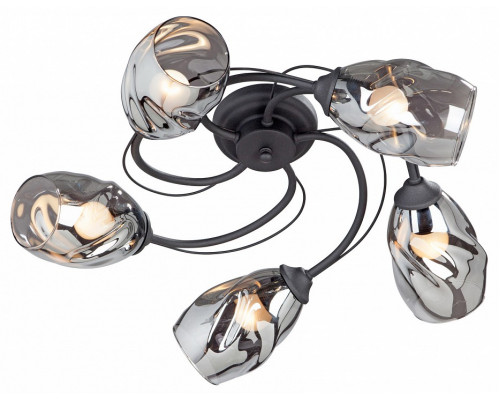 Потолочная люстра Vitaluce  V4937-1/5PL