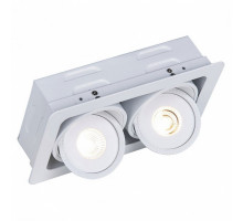 Встраиваемый светильник Arte Lamp Studio A3007PL-2WH