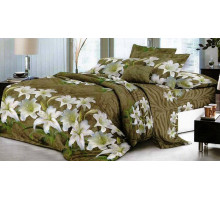 Постельное белье полутораспальное SF-58