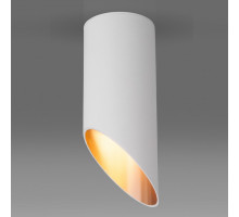 Накладной светильник Elektrostandard DLN115 a050119