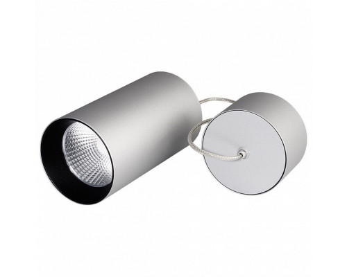Подвесной светильник Arlight Sp-polo-r85 SP-POLO-R85-2-15W Day White 40deg (Silver, Black Ring)