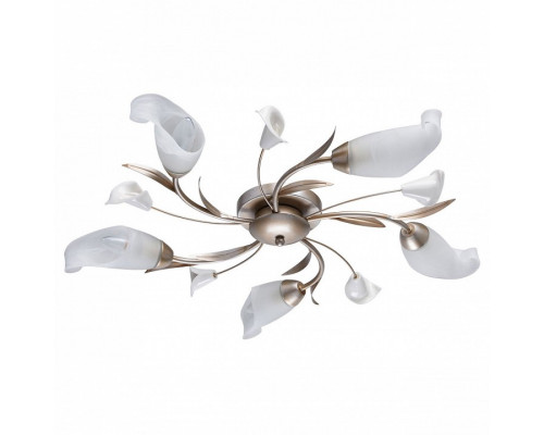 Потолочная люстра MW-Light Восторг 19 242016205