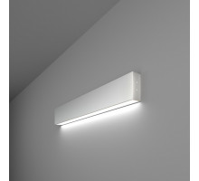 Накладной светильник Elektrostandard 101-100-30-53 a041488