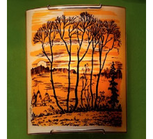 Накладной светильник Citilux 921 