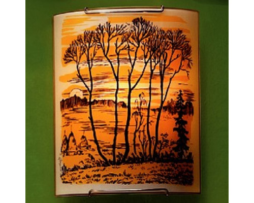 Накладной светильник Citilux 921