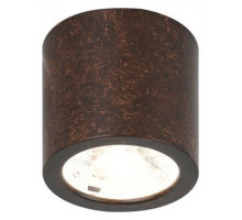 Накладной светильник Favourite Deorsum 2809-1C