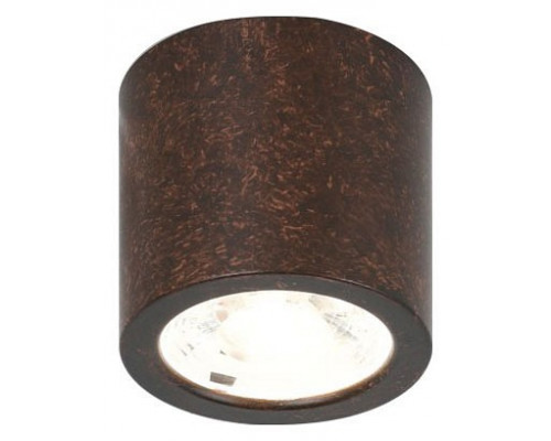 Накладной светильник Favourite Deorsum 2809-1C