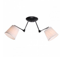 Светильник на штанге Imex MD.0717 MD.0717-2-S BK