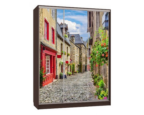 Шкаф-купе Бассо 7-600 Европа