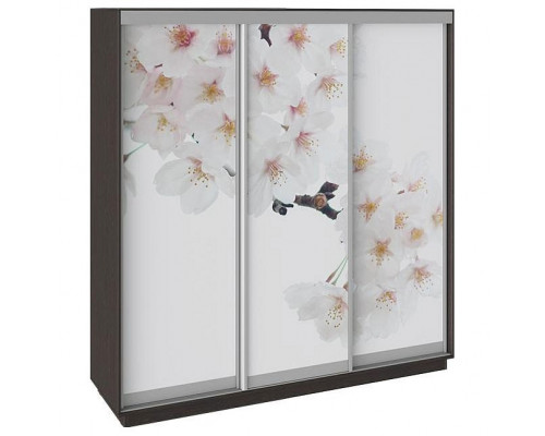 Шкаф-купе Румер