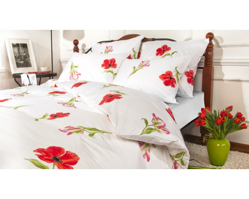 Постельное белье евростандарт Spring melody red