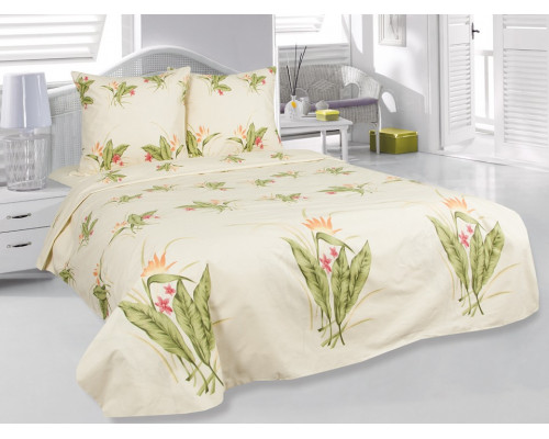 Постельное белье евростандарт Нежность 4