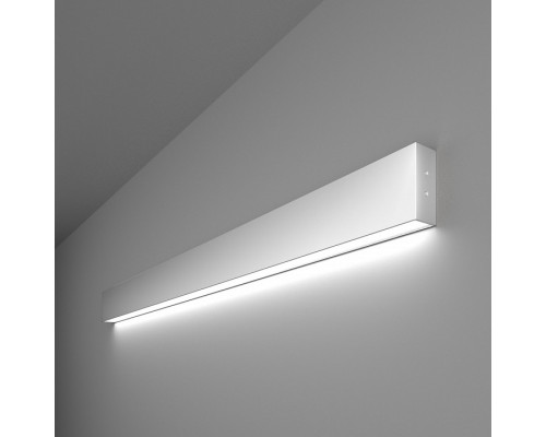 Накладной светильник Elektrostandard 101-100-30-103 a041482