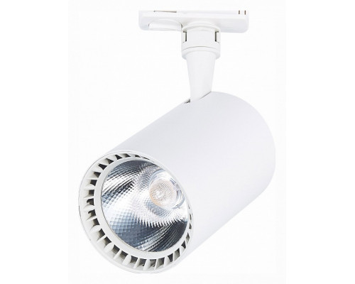 Светильник на штанге ST-Luce Cami