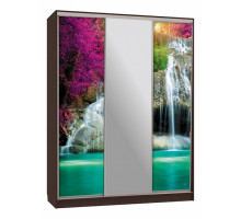 Шкаф-купе Бассо 10-600 49