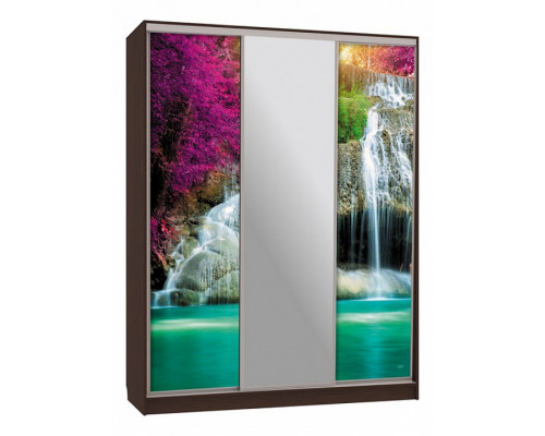 Шкаф-купе Бассо 10-600 49