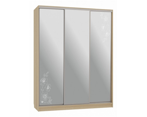 Шкаф-купе Бассо 4-600 токио