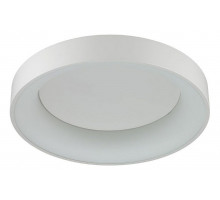 Накладной светильник Odeon Light Sole 4062/50CL