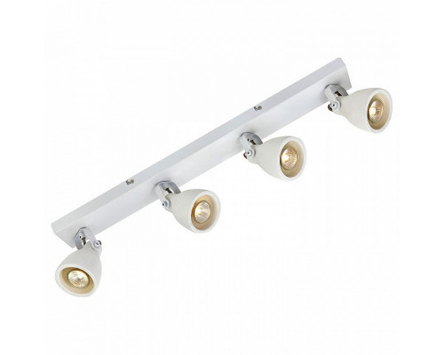 Спот Lussole Fort Collins