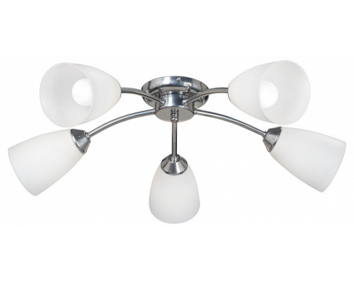 Потолочная люстра Vitaluce  V3944-9/5PL