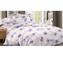 Постельное белье двуспальное Art Color 044-AC