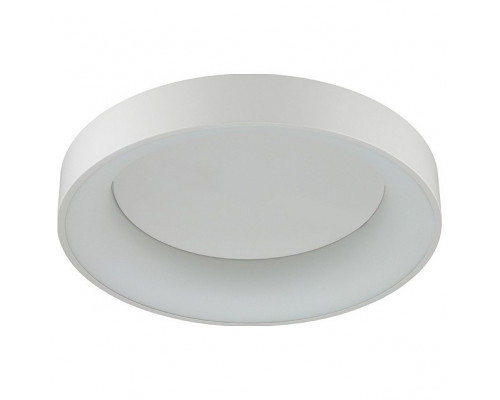 Накладной светильник Odeon Light Sole 4066/40CL