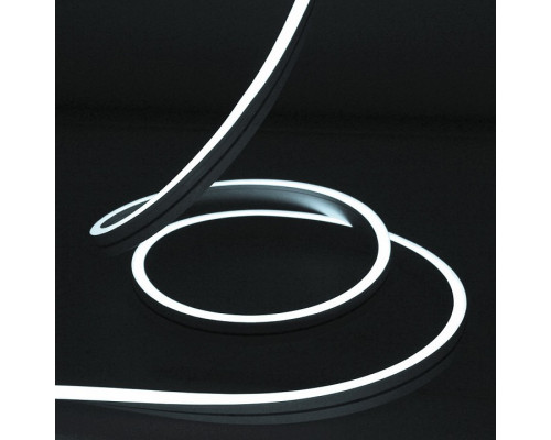 Шнур световой (50 м) RL-FX816-120-220V-W/W