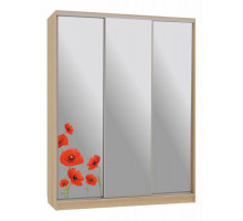 Шкаф-купе Бассо 4-600 маки