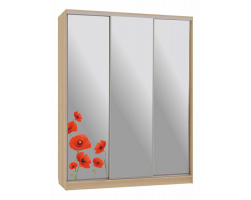 Шкаф-купе Бассо 4-600 маки