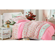 Постельное белье евростандарт Provance Frejus