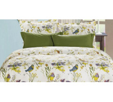 Постельное белье евростандарт B-157
