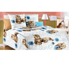 Постельное белье полутораспальное ДБ-77