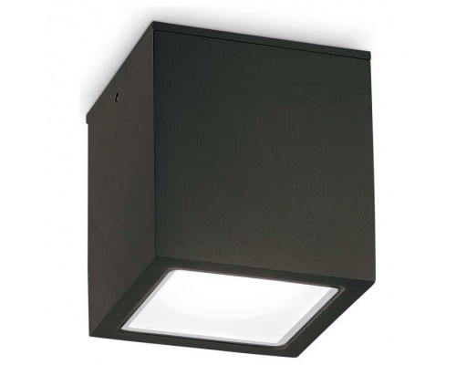 Накладной светильник Ideal Lux Techo TECHO PL1 SMALL NERO