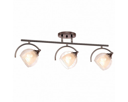 Люстра на штанге SilverLight Sfera 255.59.3