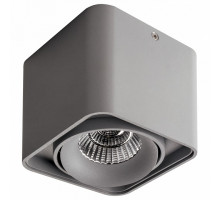 Накладной светильник Lightstar Monocco 212519