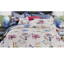 Постельное белье евростандарт CL-187