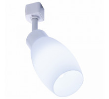 Светильник на штанге Feron Saffit  41051