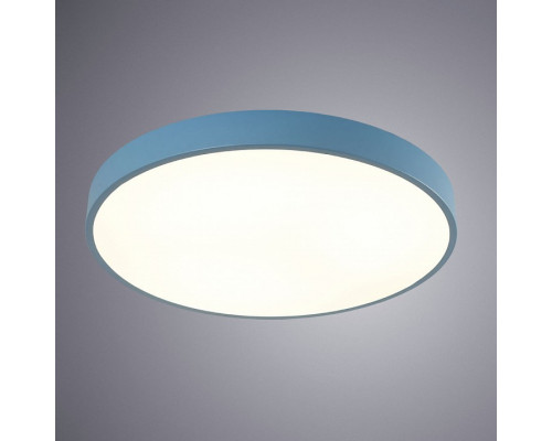 Накладной светильник Arte Lamp Arena A2661PL-1AZ