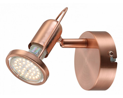 Спот Globo Anne 54383-1