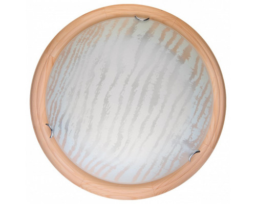 Накладной светильник TopLight Calista TL9490Y-00PN