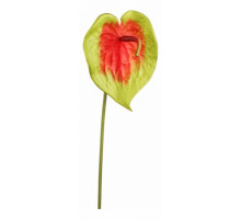 Зелень (72 см) Антуриум 21003200