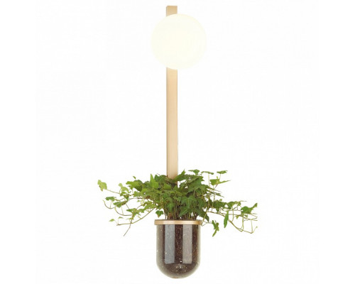 Бра Odeon Light Flower 4682/1WB