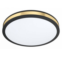 Накладной светильник Eglo ПРОМО Pescaito 99407