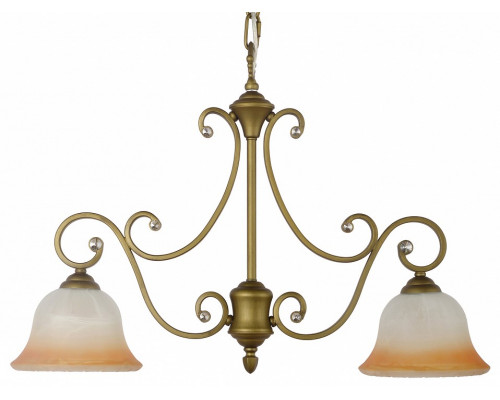 Подвесной светильник Arti Lampadari Carina Carina E 1.1.2 GB