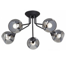 Потолочная люстра Vitaluce  V4724-1/5PL