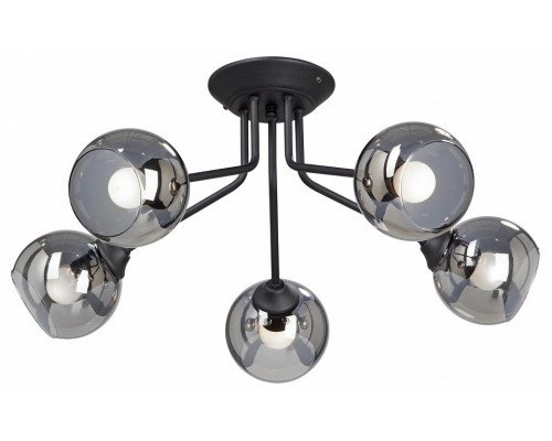 Потолочная люстра Vitaluce  V4724-1/5PL