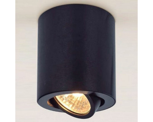 Накладной светильник Citilux Дюрен