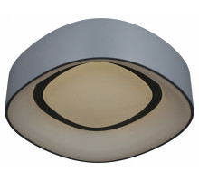 Накладной светильник Omnilux Enfield OML-45217-51