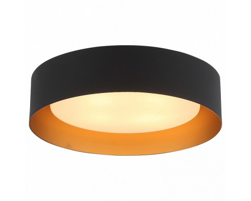 Накладной светильник ST-Luce Chio