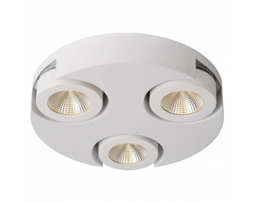 Накладной светильник Lucide Mitrax-LED 33158/14/31